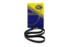 SCT Germany G374 Timing Belt